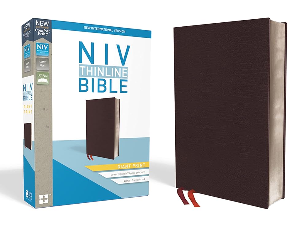 NIV, Thinline Bible, Giant Print, Bonded Leather, Burgundy, Red Letter, Thumb Indexed, Comfort Print cover image