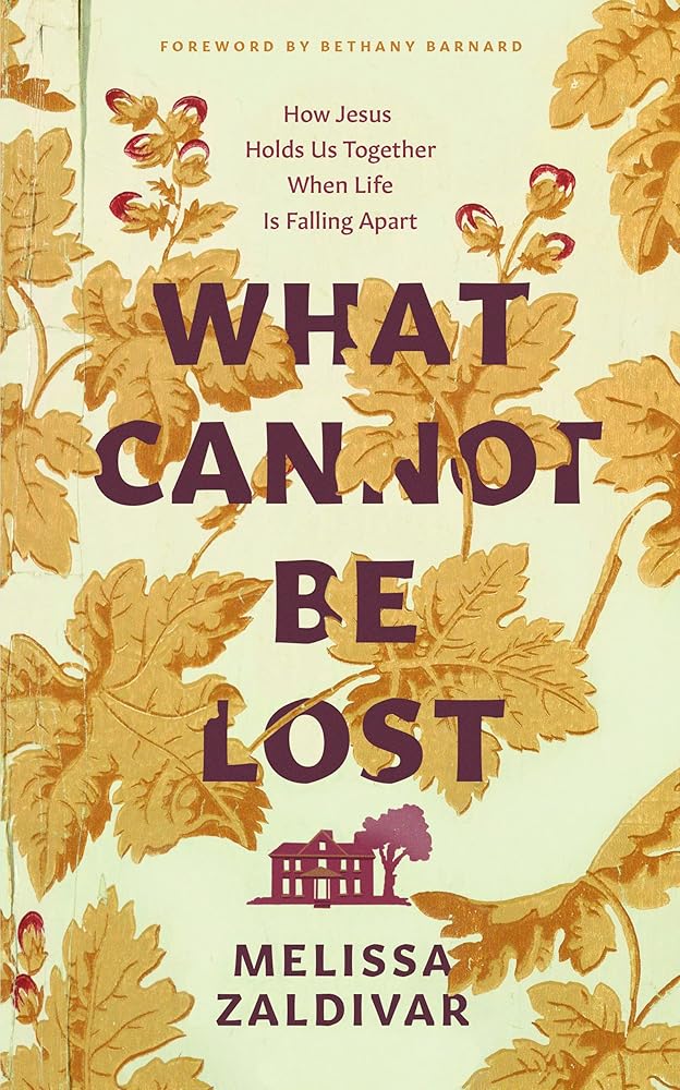 What Cannot Be Lost: How Jesus Holds Us Together When Life Is Falling Apart (A personal story of holding on to Christian faith in the face of suffering, grief and feeling depressed) cover image