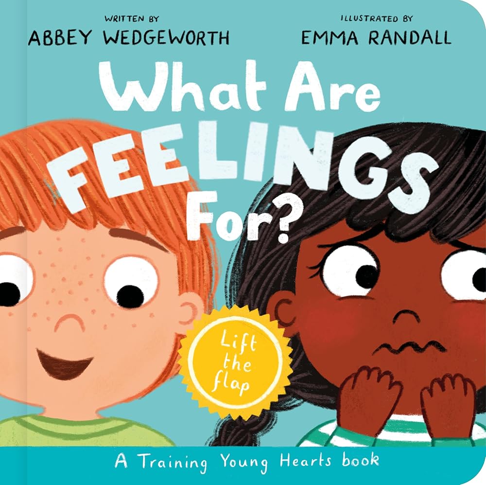What Are Feelings For? Board Book: A Lift-the-Flap Board Book (Christian behavior book for toddlers encouraging emotional health and resilience.) cover image