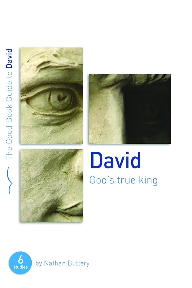 David: God's True King (Good Book Guides) cover image