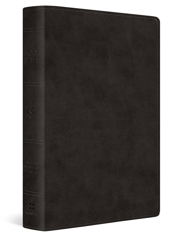 ESV Giant Print Value Thinline Bible (TruTone, Black): Holy Bible, English Standard Version cover image