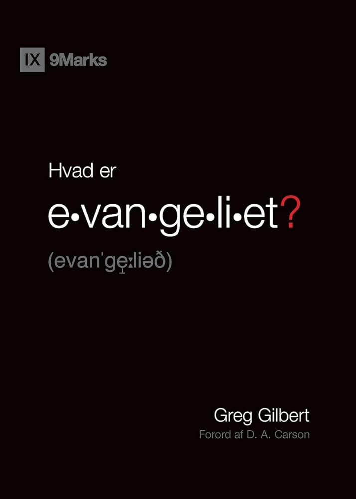 What Is the Gospel? / Hvad er evangeliet? (Gospel Fundamentals (Danish)) (Danish Edition) cover image