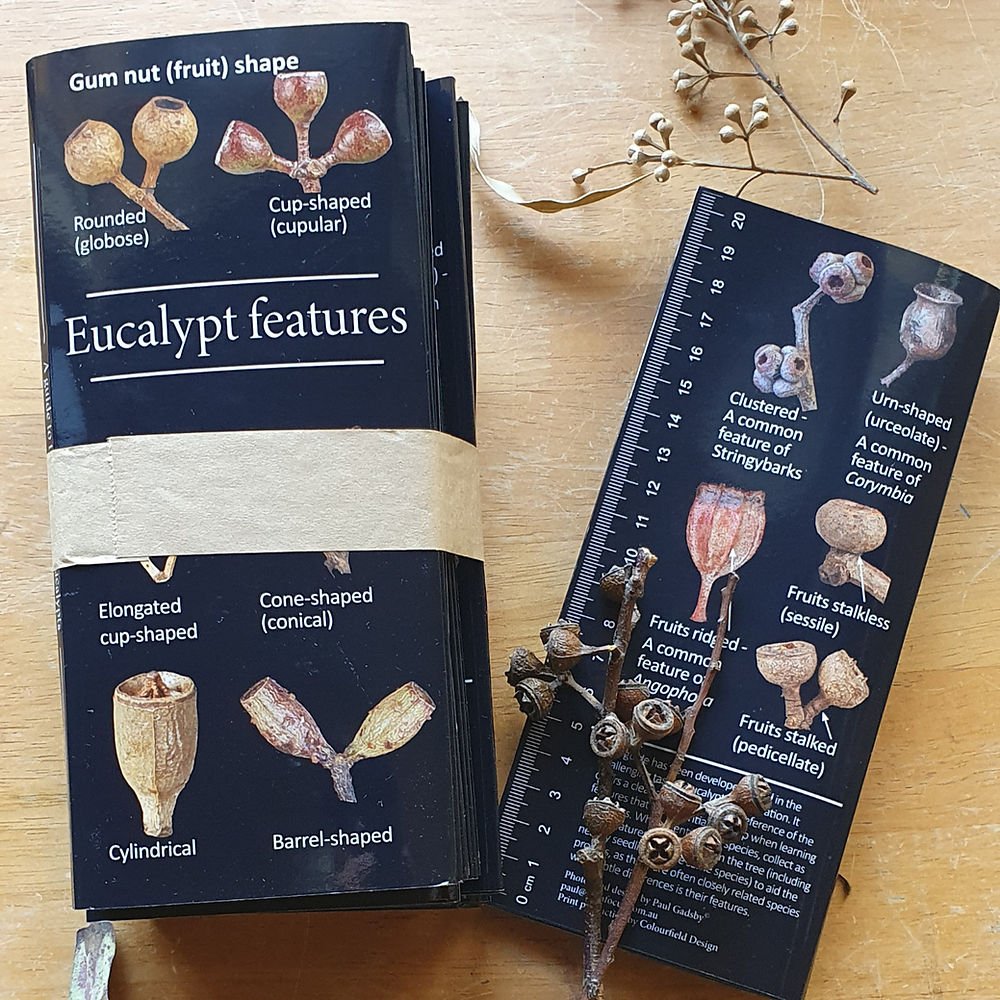 Eucalypt Features booklet - eucalypt1 - Paul Gadsby - Paul Gadsby - The Little Lost Bookshop