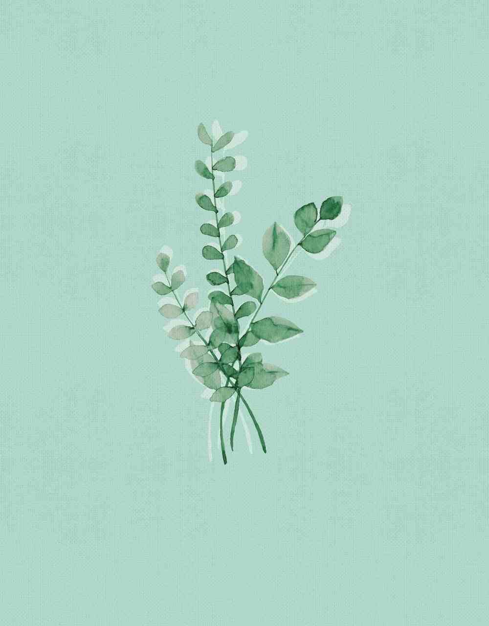 NIV Journal the Word Bible Teal (Red Letter Edition)