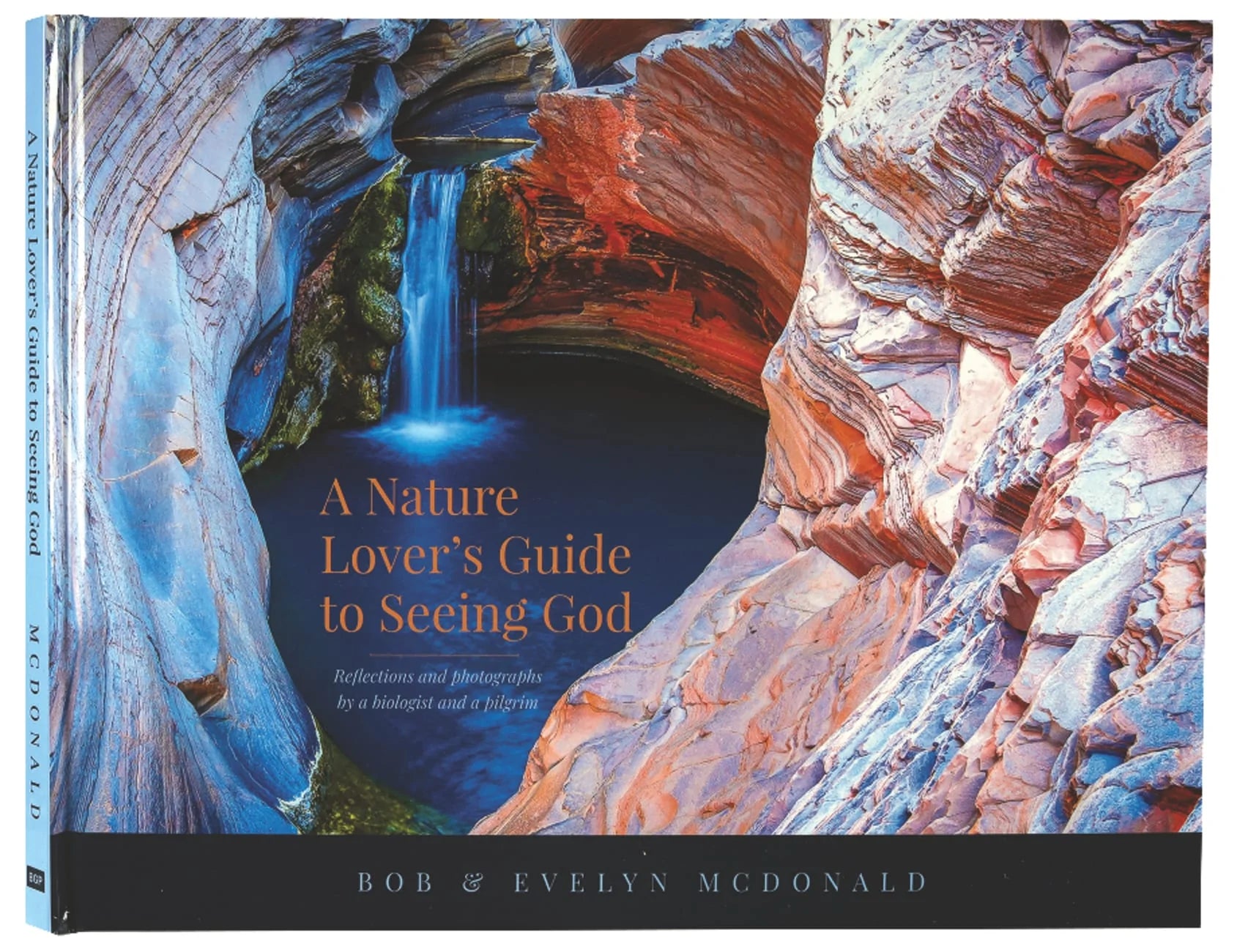 A Nature Lover's Guide to Seeing God