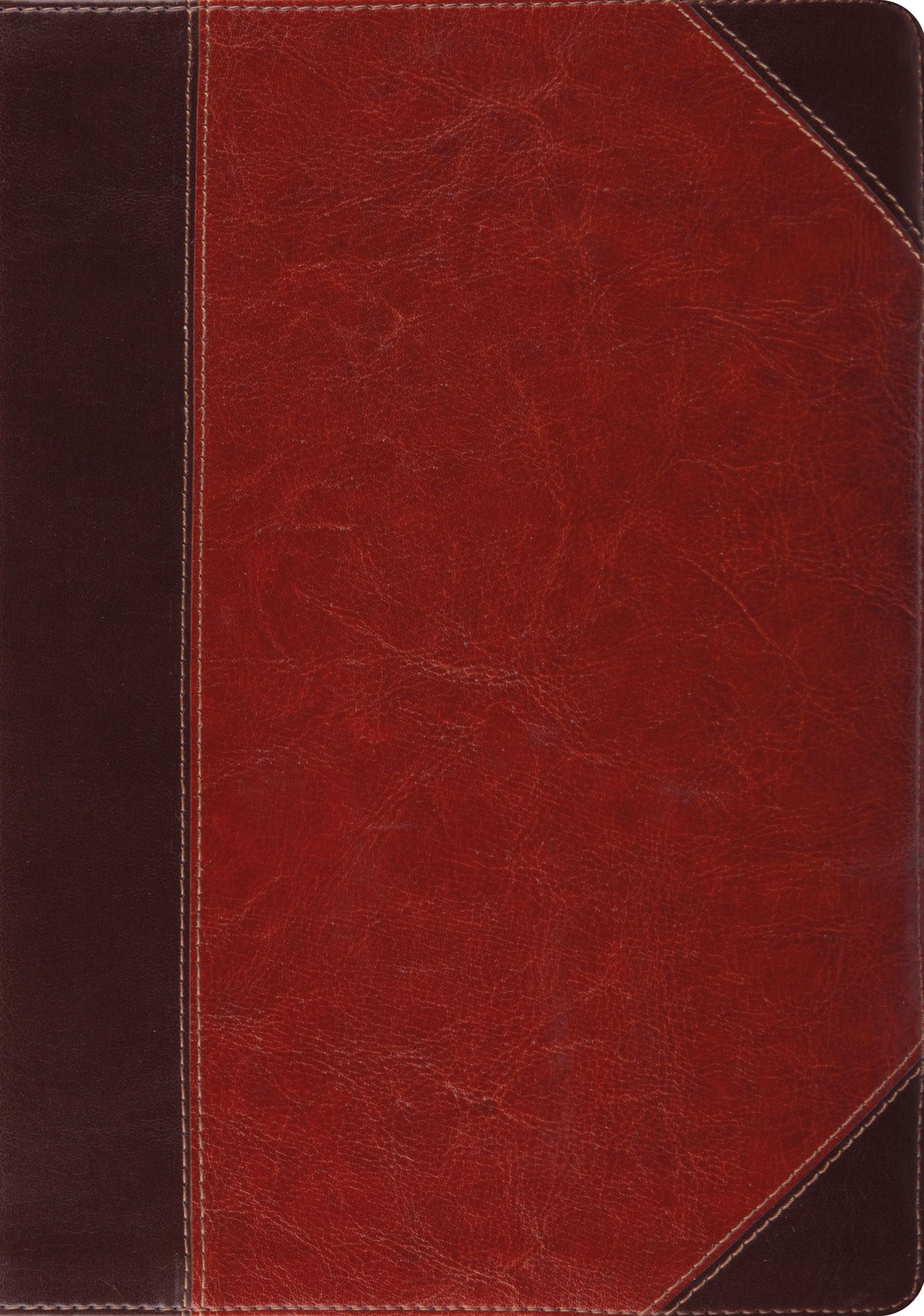 ESV Study Bible (TruTone, Brown/Cordovan, Portfolio Design)