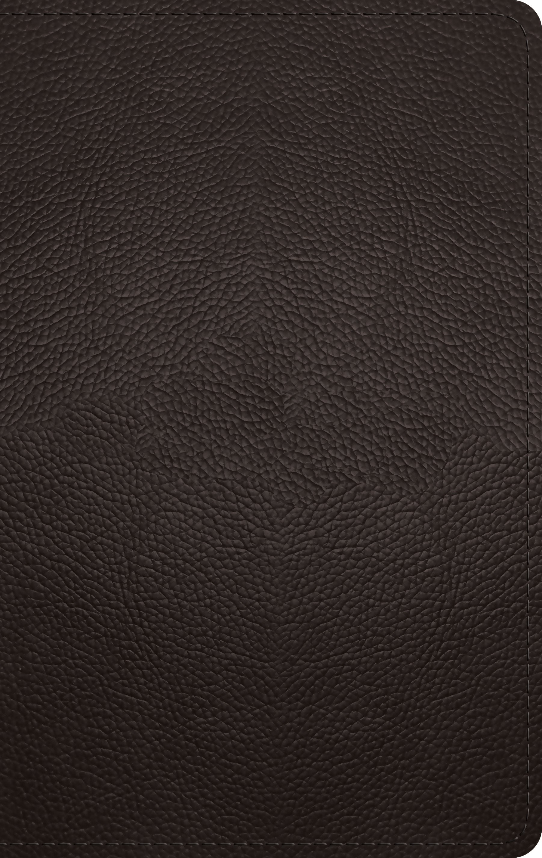 ESV Large Print Personal Size Bible (Buffalo Leather, Deep Brown)