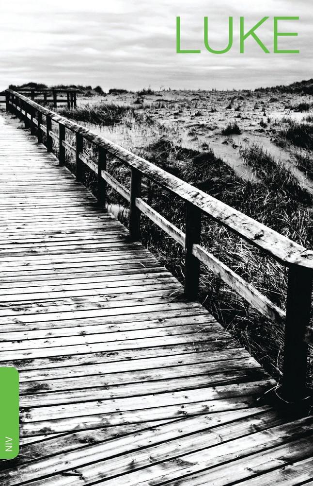 NIV Luke's Gospel
