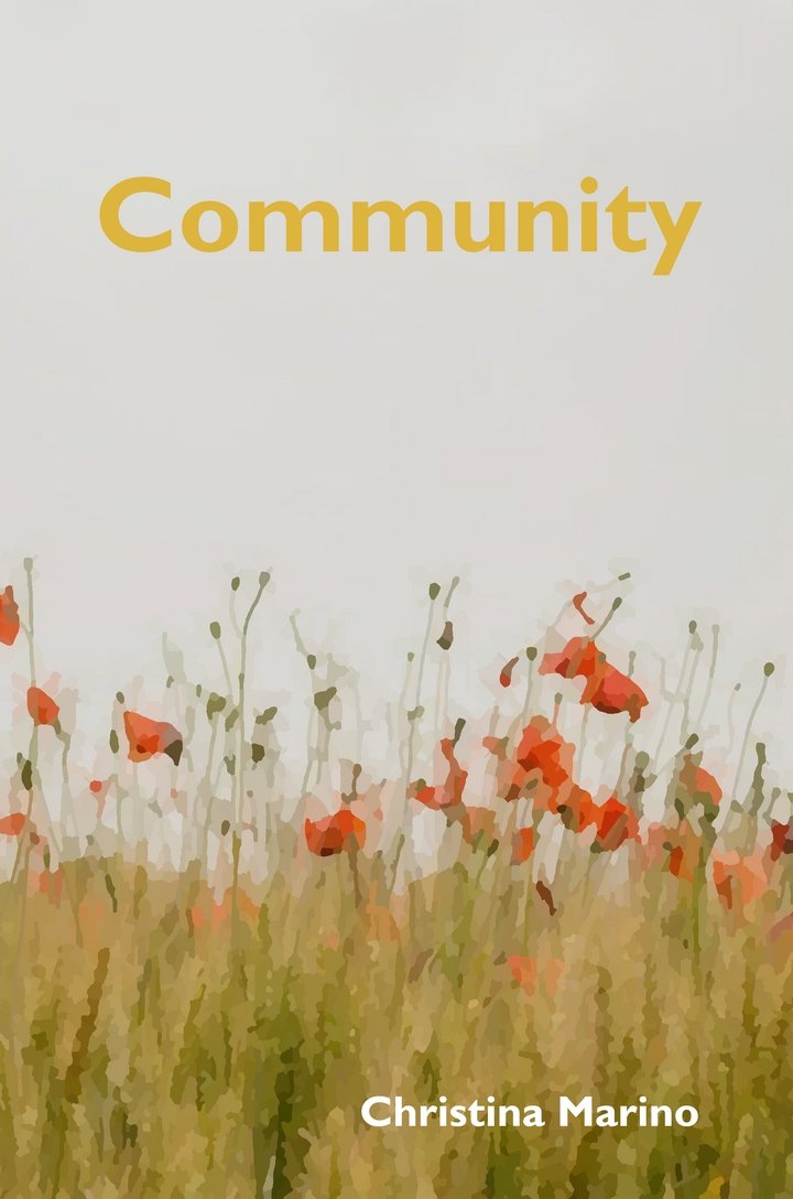 Community - 9780244179977 - Christina Marino - Rosey Ravelston - The Little Lost Bookshop