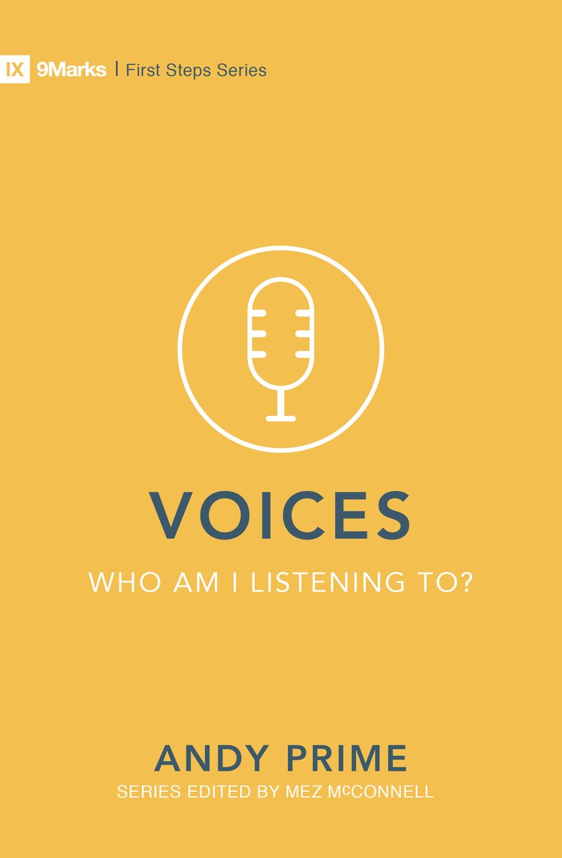 Voices - Who Am I Listening To?