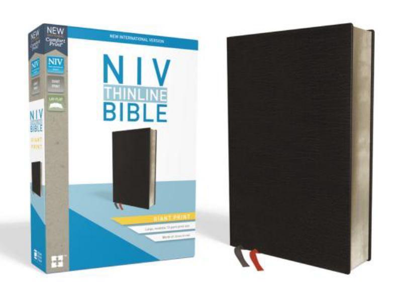 NIV Giant Print Thinline Bible