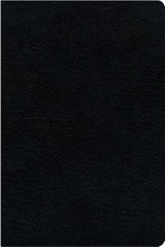 NIV Thinline Reference Bible