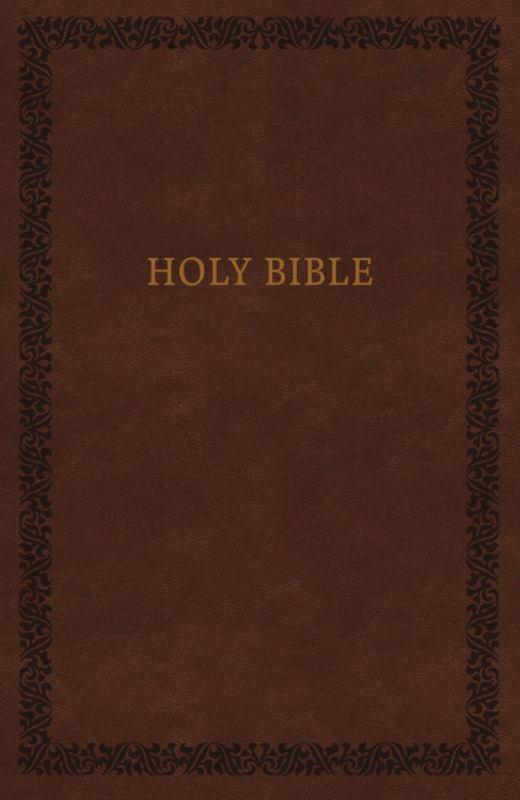 NIV Bible Brown Soft Touch Edition