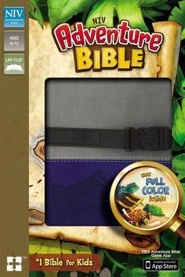 NIV Adventure Bible