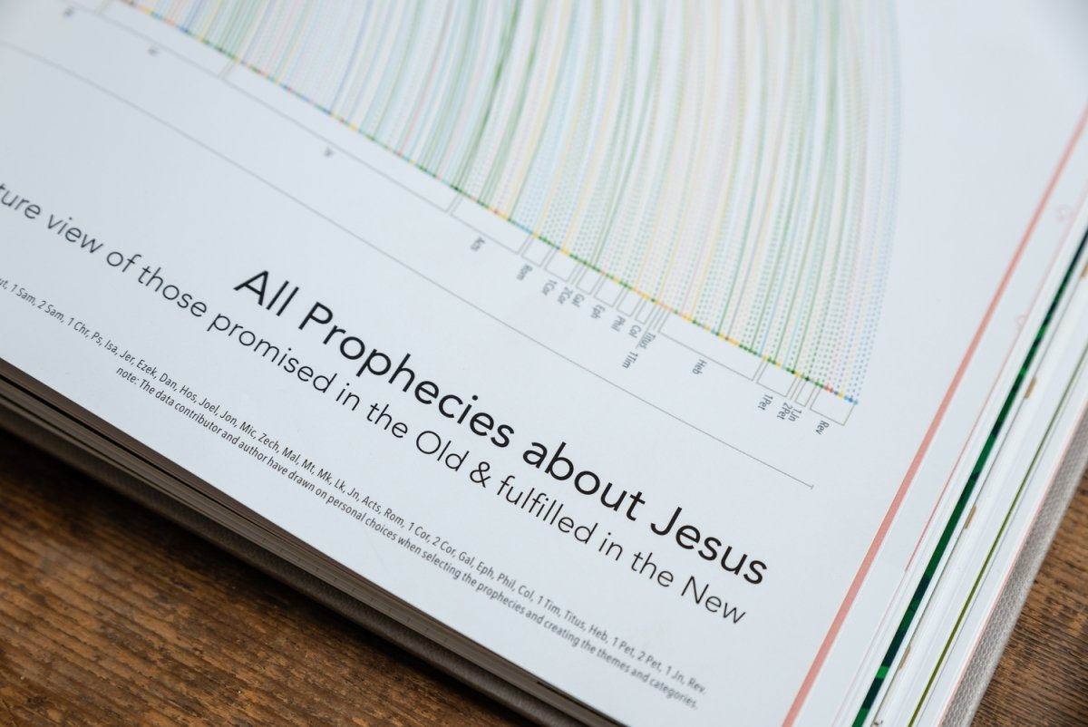 The Infographic Bible - 9780007554614 - Sawrey, Karen - HarperCollins Publishers - The Little Lost Bookshop