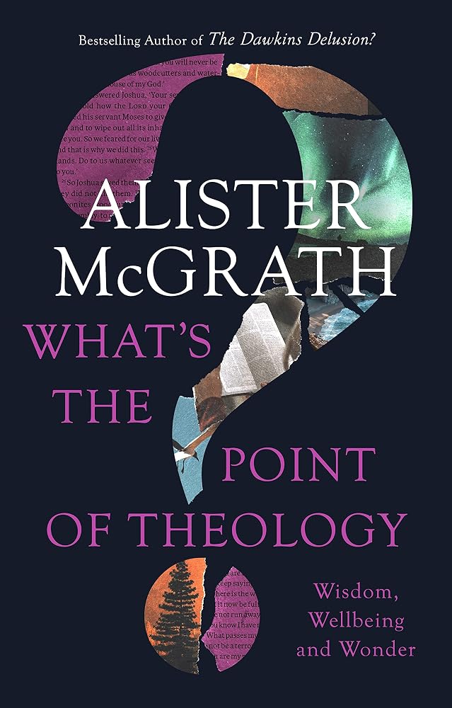What's the Point of Theology?: Wisdom, Wellbeing and Wonder cover image