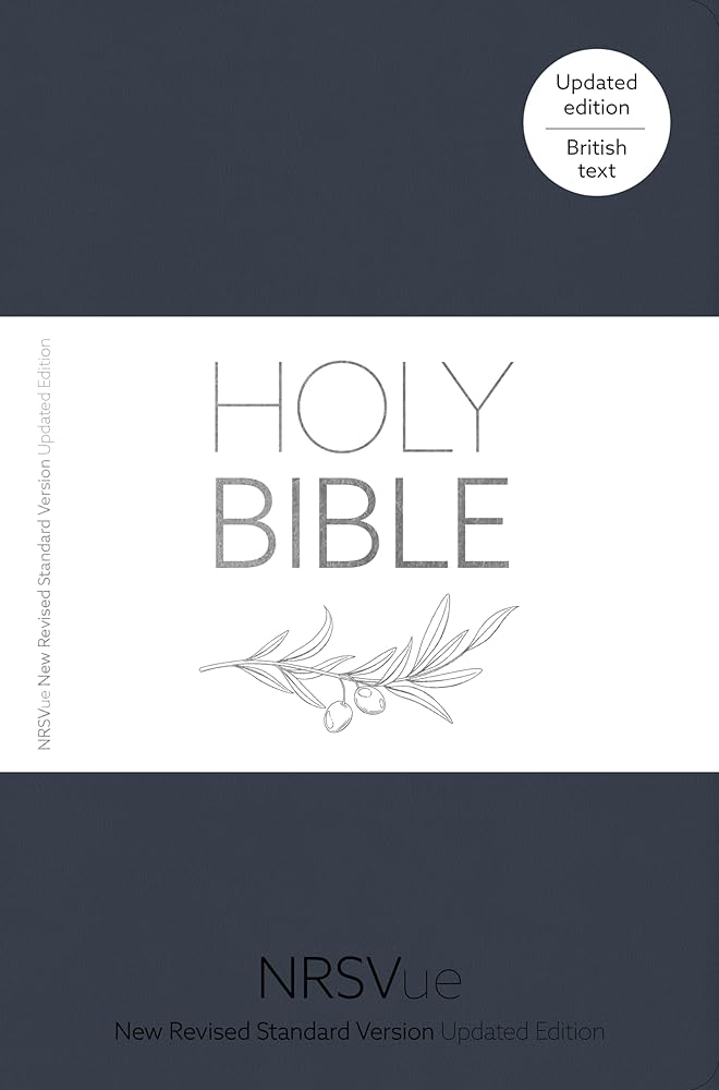 NRSVue Holy Bible: New Revised Standard Version Updated Edition: British Text in Soft-tone Flexiback Binding cover image