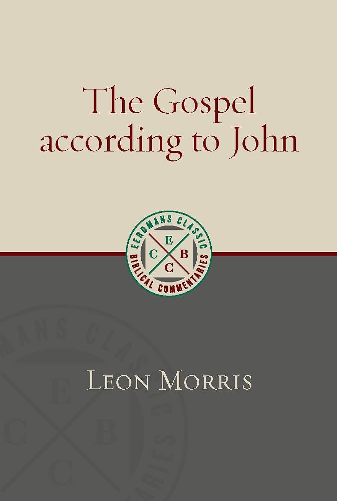 The Gospel according to John (Eerdmans Classic Biblical Commentaries (ECBC)) cover image