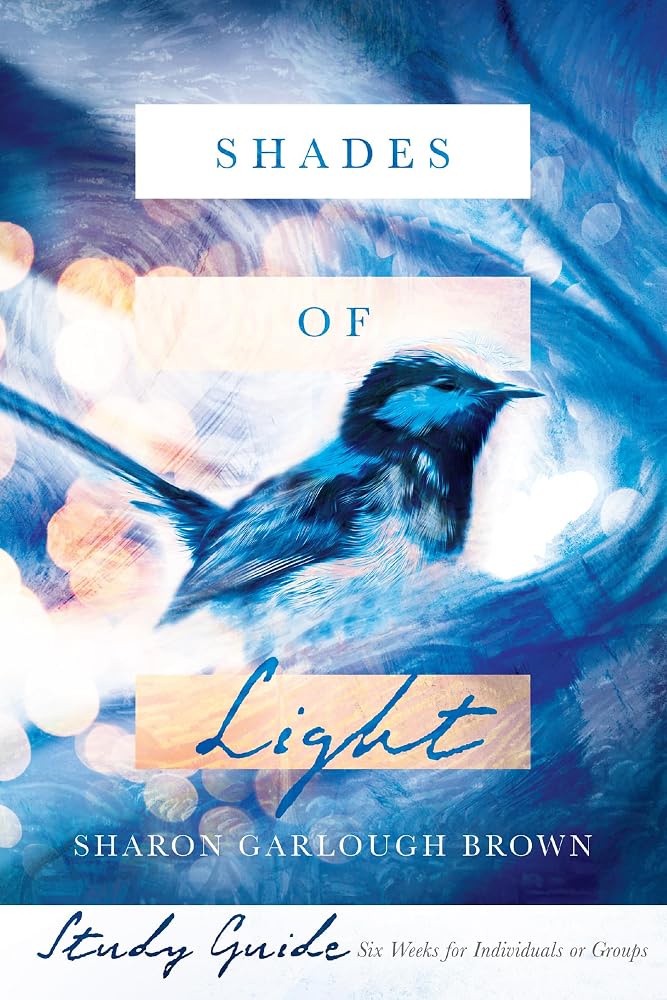 Shades of Light Study Guide cover image
