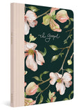 ESV Prayer Journal: 30 Days on the Gospel (Paperback) cover image
