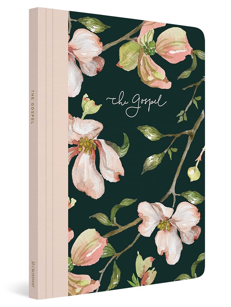ESV Prayer Journal: 30 Days on the Gospel (Paperback) cover image