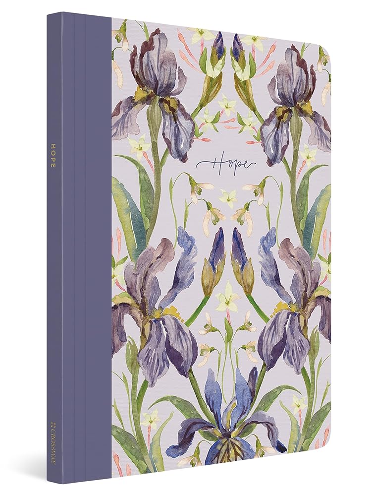 ESV Prayer Journal: 30 Days on Hope (Paperback) cover image