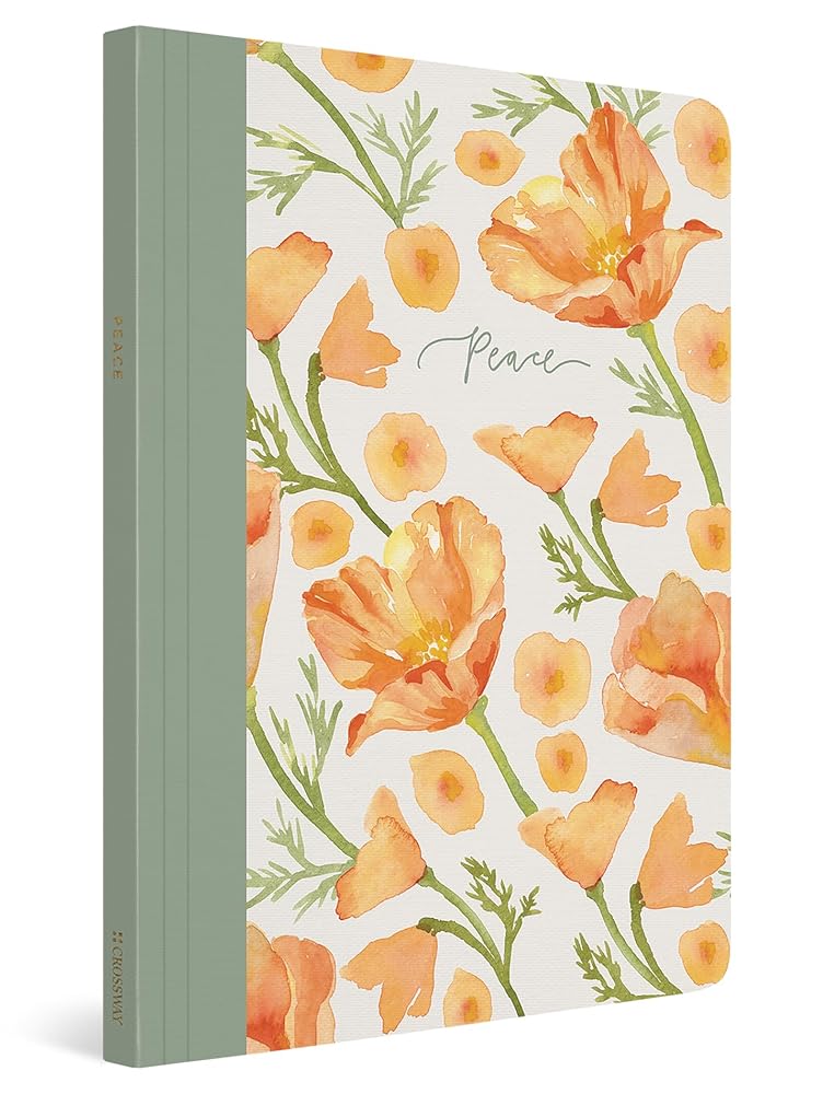 ESV Prayer Journal: 30 Days on Peace (Paperback) cover image
