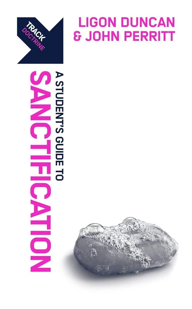 Track: Sanctification: A Student’s Guide to Sanctification cover image