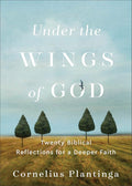 Under the Wings of God cover image