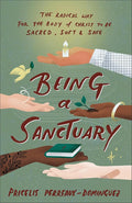 Being a Sanctuary: The Radical Way for the Body of Christ to Be Sacred, Soft, and Safe cover image
