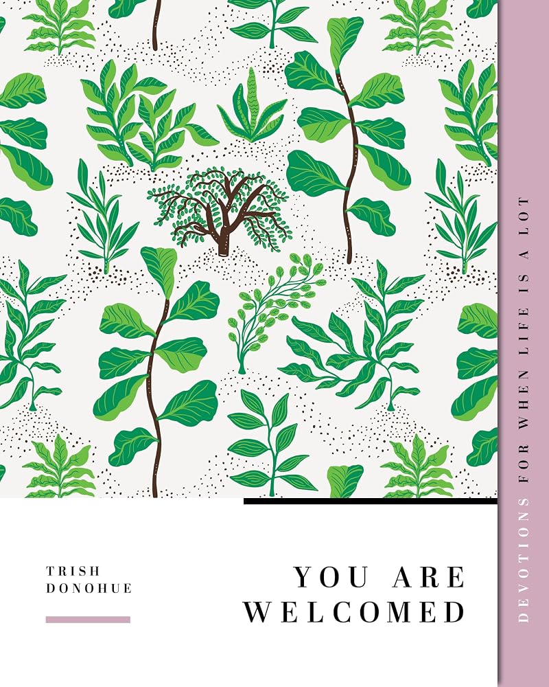You Are Welcomed: Devotions for When Life Is a Lot (Gospel Truth for Women) cover image