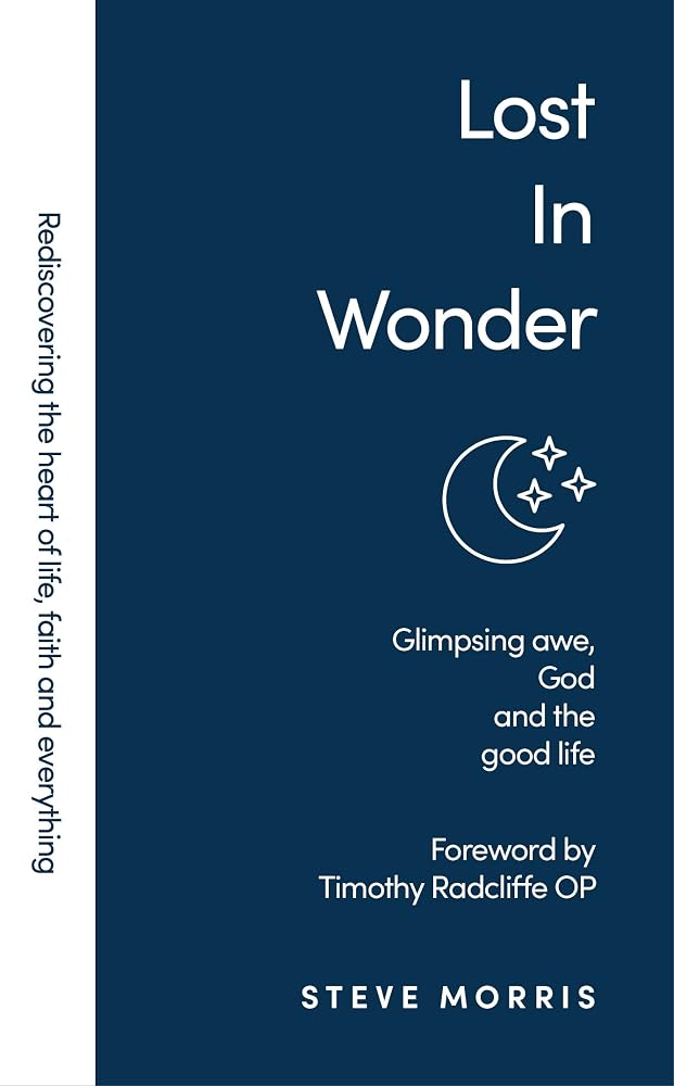 Lost in Wonder: Glimpsing Awe, God and the Good Life (Rediscovering Faith Life and Everything) cover image