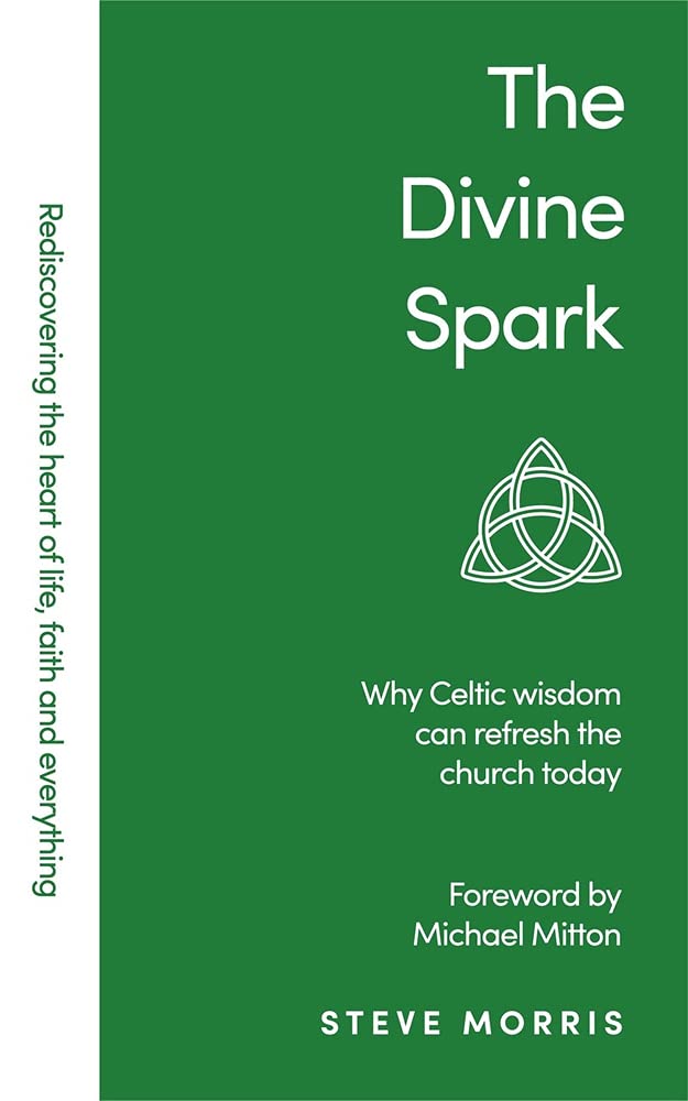 DIVINESPARK,THE cover image