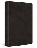 ESV Giant Print Value Thinline Bible (TruTone, Black): Holy Bible, English Standard Version cover image