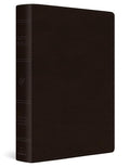 ESV Large Print Value Personal Size Bible (TruTone, Deep Brown): Holy Bible, English Standard Version cover image