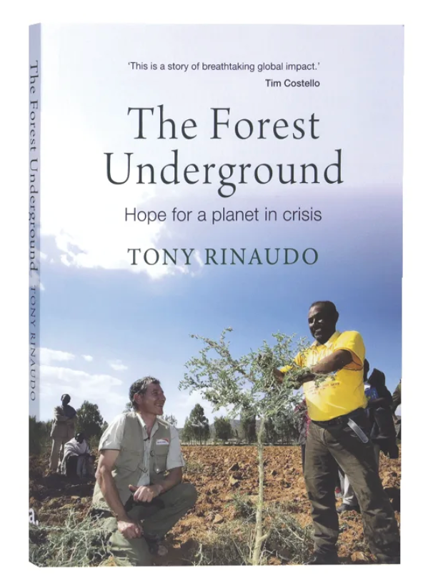 The Forest Underground
