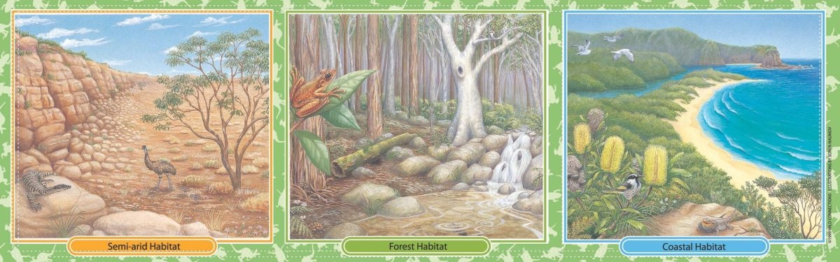 Australian Menagerie Game - 8200 - Science and Nature - The Little Lost Bookshop