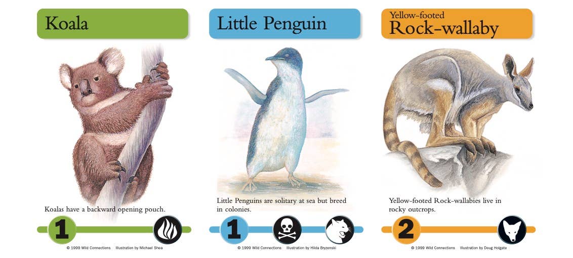 Australian Menagerie Game - 8200 - Science and Nature - The Little Lost Bookshop