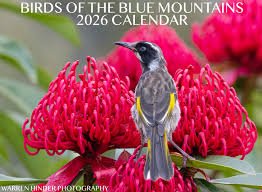 Birds of the Blue Mountains 2026 Calendar - bird2026 - Calendar - Warren David Hinder - The Little Lost Bookshop