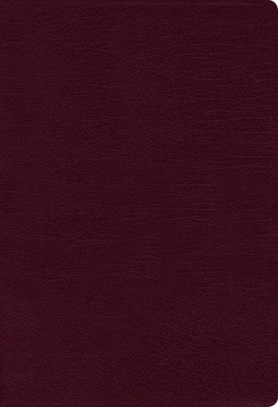 NIV Thinline Bible Red Letter Edition [Burgundy] - 9780310448792 - NIV - Zondervan Bibles - The Little Lost Bookshop