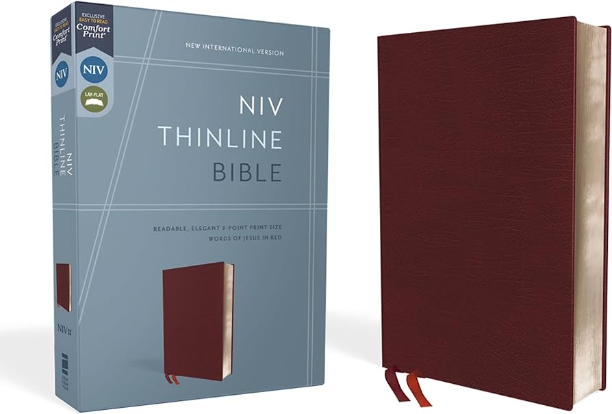 NIV Thinline Bible Red Letter Edition [Burgundy] - 9780310448792 - Zondervan - The Little Lost Bookshop