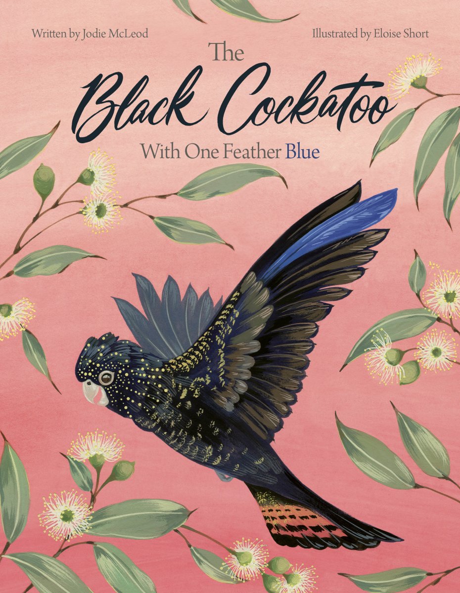 The Black Cockatoo With One Feather Blue - 9780646874708 - Jodie McLeod - The Little Lost Bookshop - The Little Lost Bookshop