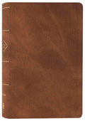 NIV Thinline Bible Passaggio Setting Brown