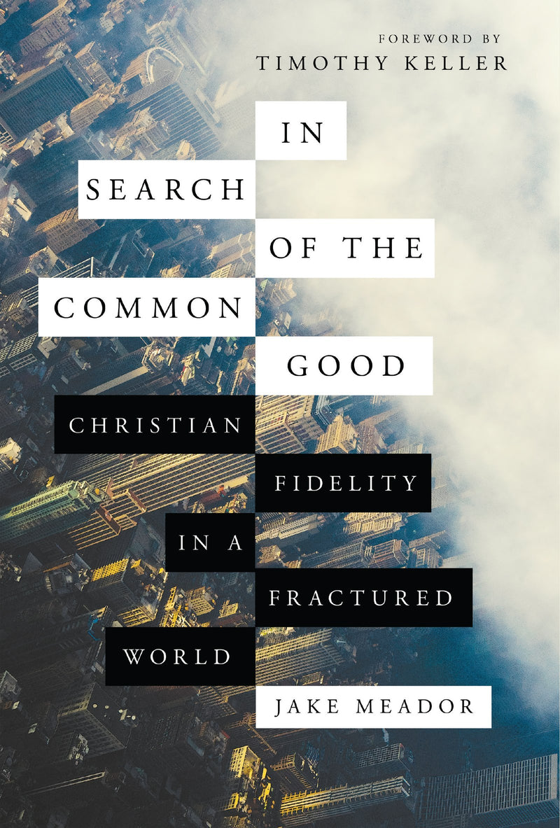 In Search of the Common Good - Christian Fidelity in a Fractured World