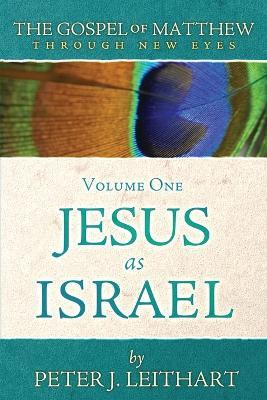 Gospel of Matthew Through New Eyes Vol. 1: Jesus as Israel
