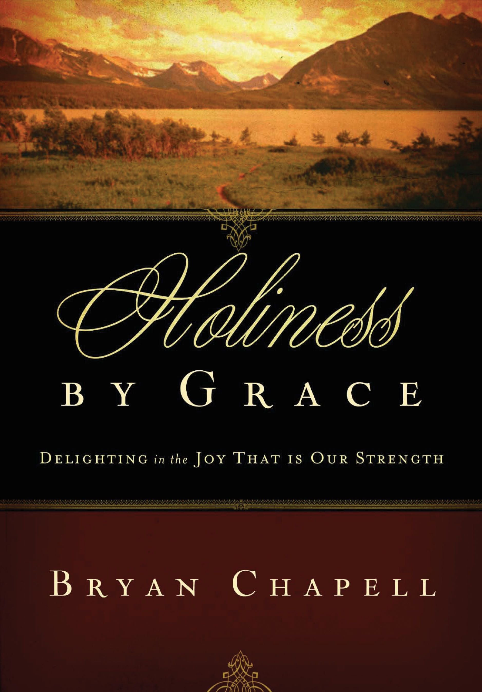 Holiness by Grace: Delighting in the Joy That is Our Strength