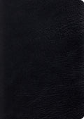 ESV Study Bible, Large Print (Black)