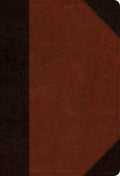 ESV Student Study Bible (TruTone, Brown/Cordovan, Portfolio Design)