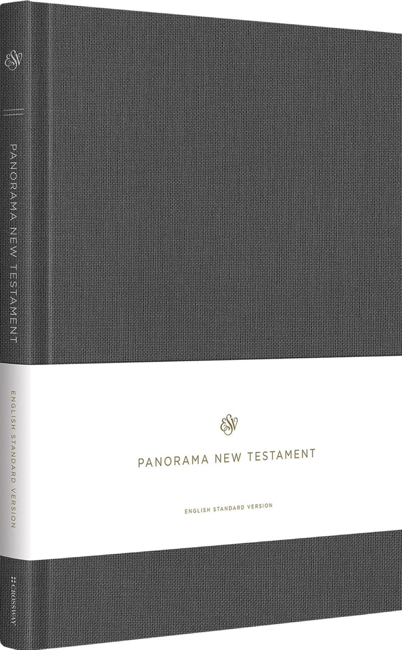 ESV Panorama New Testament (Grey)