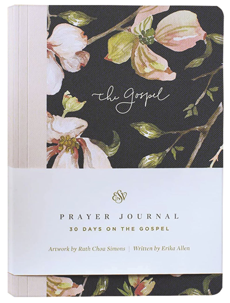 Prayer Journal: 30 Days on the Gospel